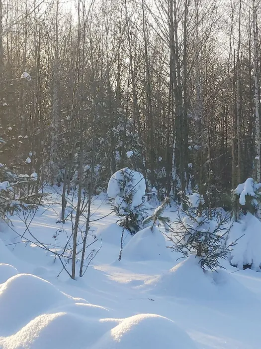 IMG_20260117_153541_150