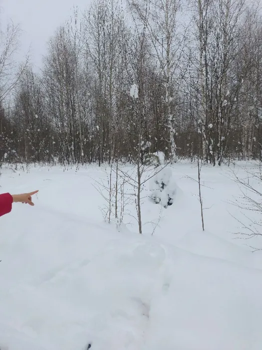 IMG_20260117_153548_356