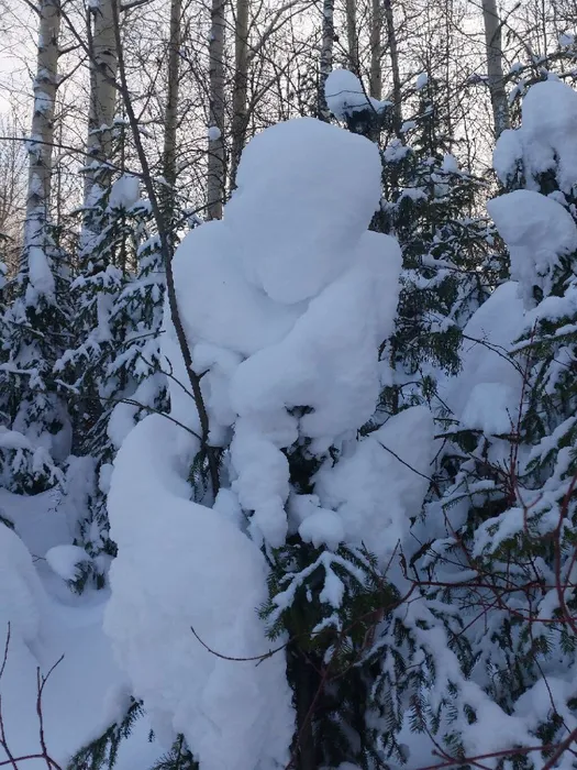 IMG_20260117_153536_919