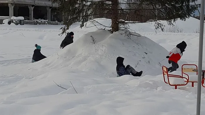 photo_2026-01-18_13-15-52